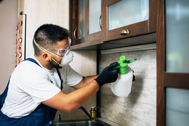 Best Exterminator Services  in Pomona Park, FL