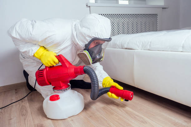 Reliable Pomona Park, FL Pest Control Solutions