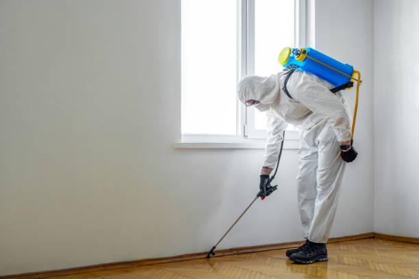 Best Pest Control Near Me in Pomona Park, FL